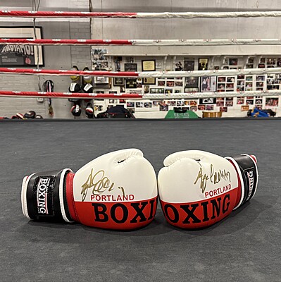 PBC Boxing Gloves PBC Boxing Gloves