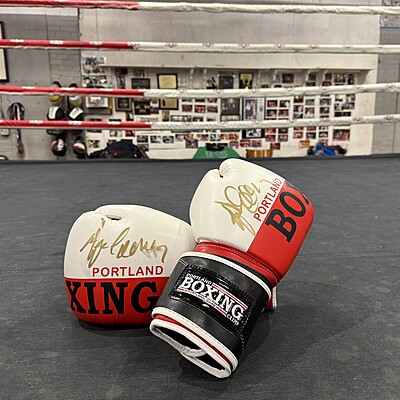 PBC Boxing Gloves PBC Boxing Gloves